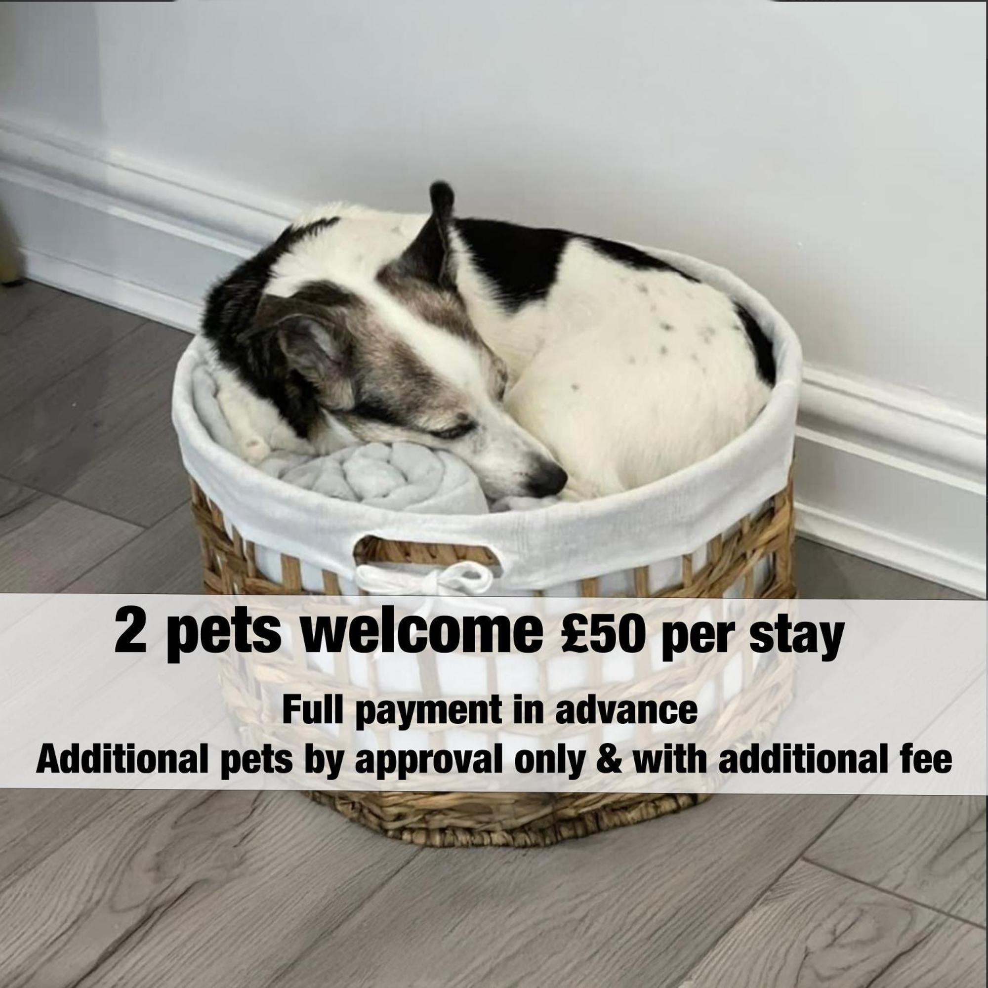 The Trail Special Apartment In Afan Forest Bike Park By Staystaycations Cymmer Luaran gambar